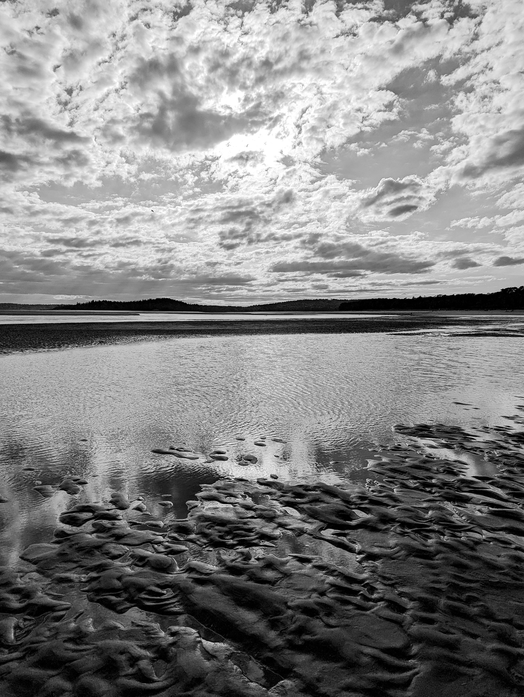 Textured shoreline and calm water under a cloudy sky in a black and white coastal landscape.