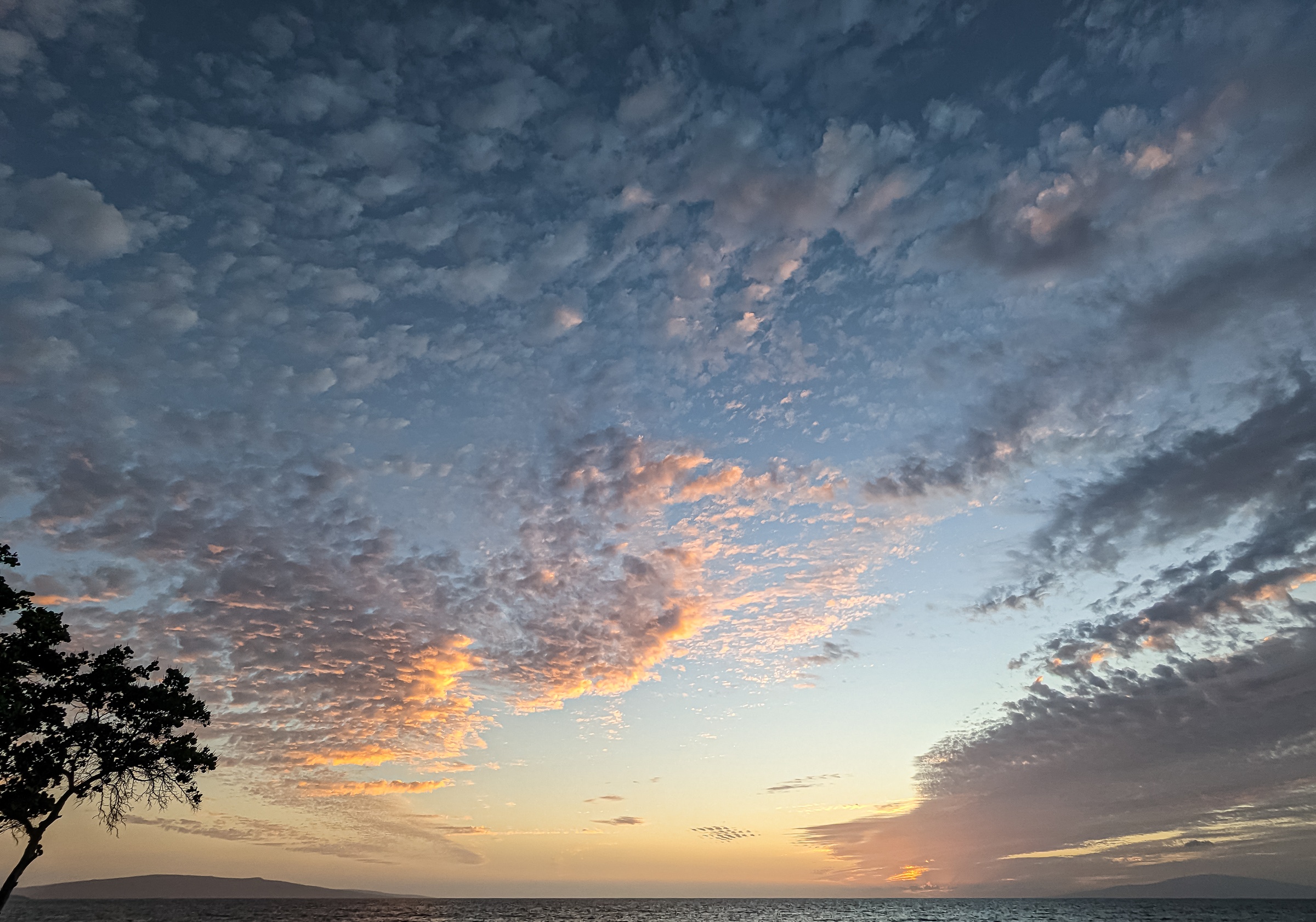 A silhouetted tree stands by water under textured colorful clouds with distant land on the horizon.